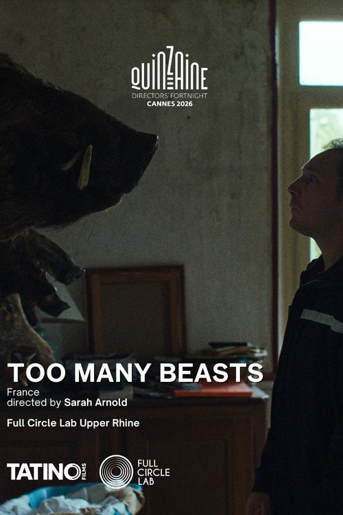 Too Many Beasts poster