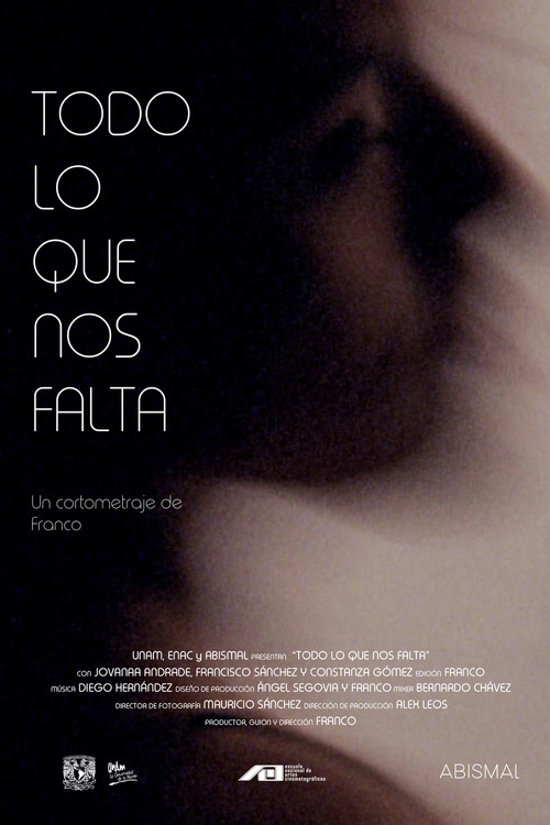 Todo lo que nos falta poster