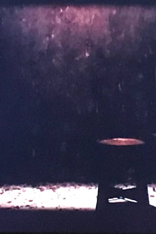 CHAIR / SCREEN poster