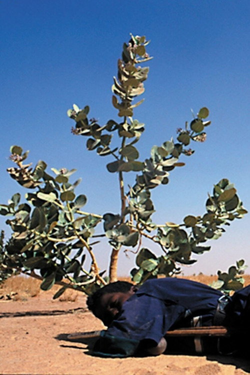Tchissète, The Mirror of the Tuareg poster