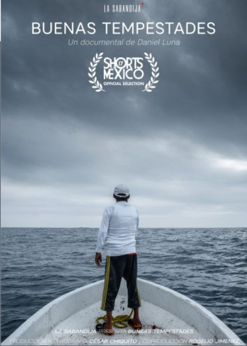Good Storms poster