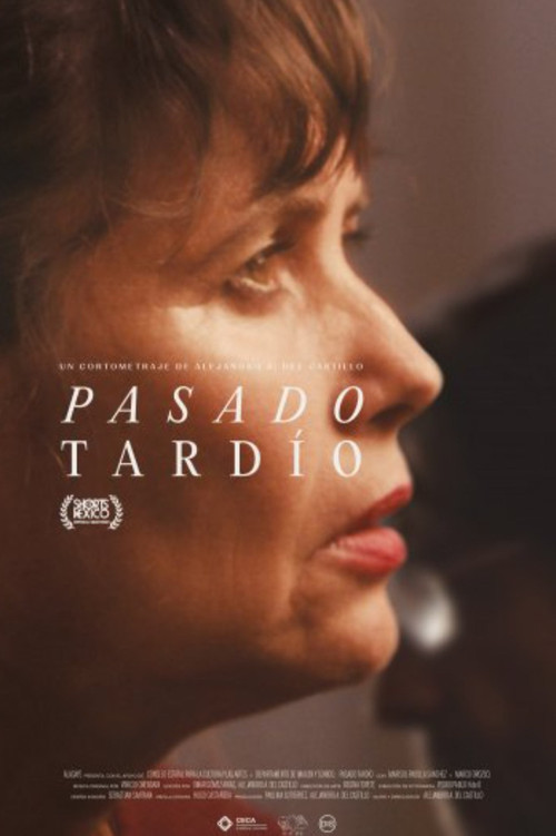 Pasado Tardío poster