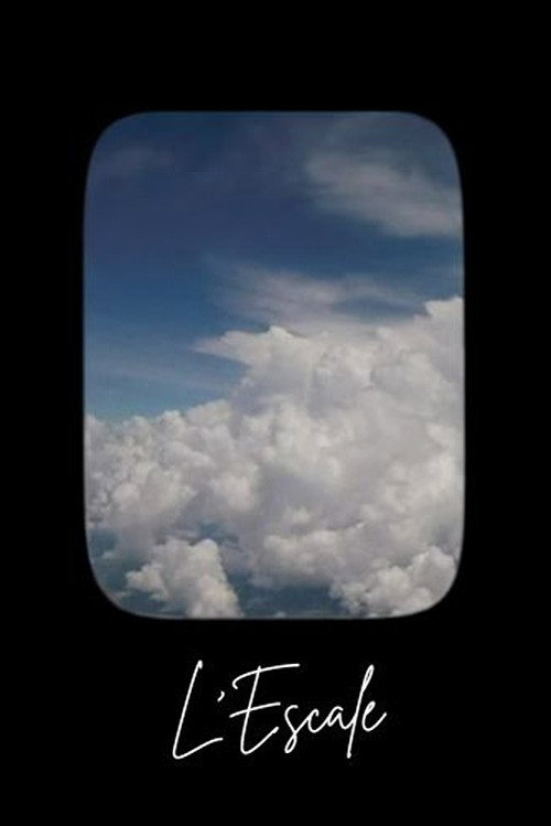 The Stopover poster