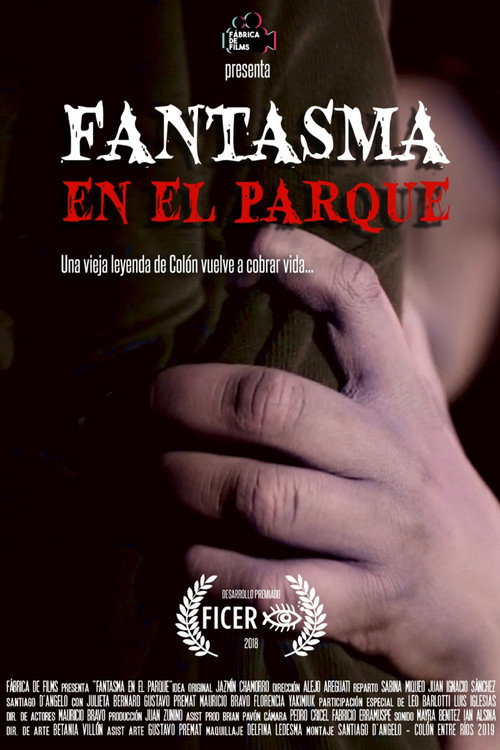 The Ghost In The Park poster