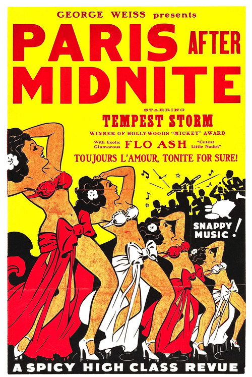 Paris After Midnight poster