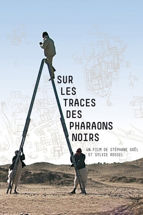 Sur les traces des pharaons noirs poster