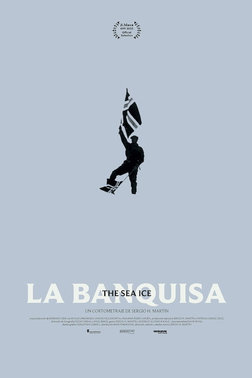 The Sea Ice poster