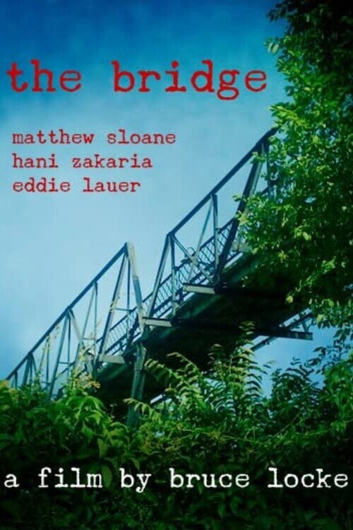 The Bridge poster