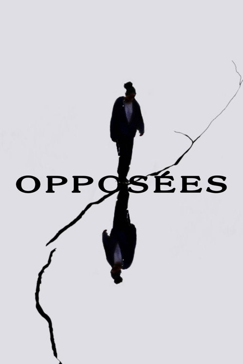 Opposites poster