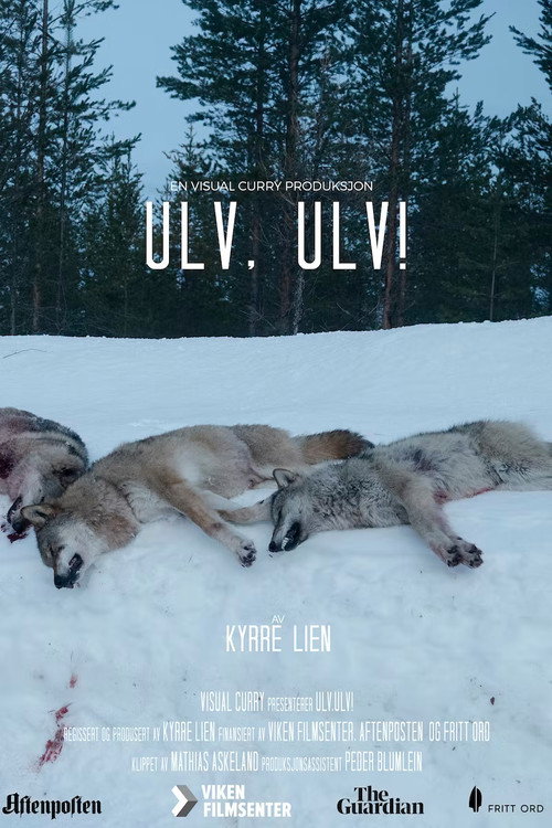 The Wolf Dividing Norway poster