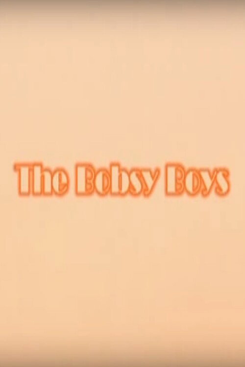 The Bobsy Boys poster