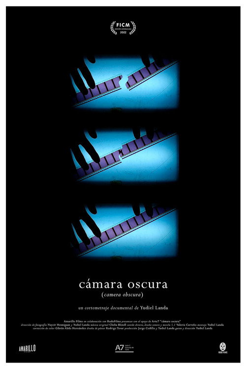 Camera Obscura poster