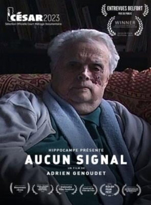 No Signal poster