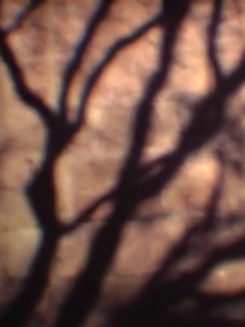 Pulsion poster