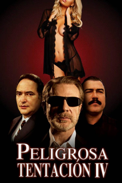 Peligrosa tentación IV poster