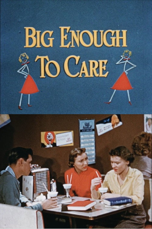 Big Enough to Care poster