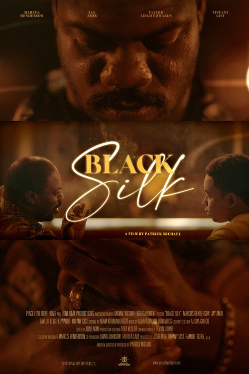 Black Silk poster