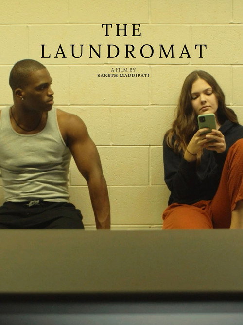 The Laundromat poster