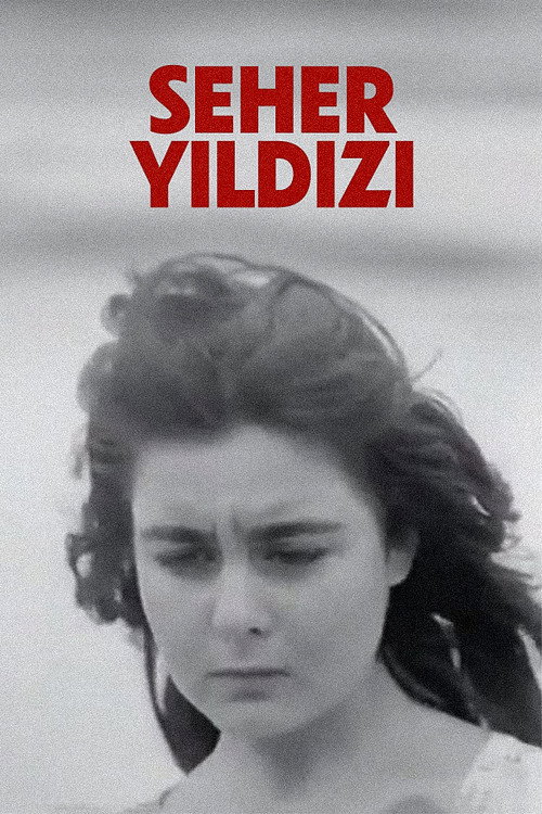 Seher Yıldızı poster