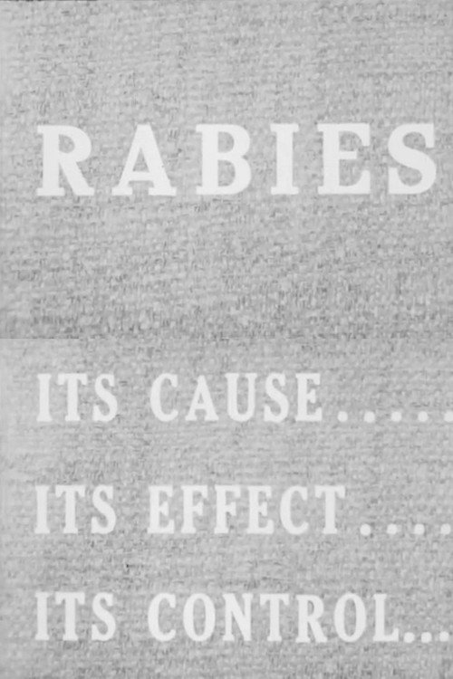 Rabies poster