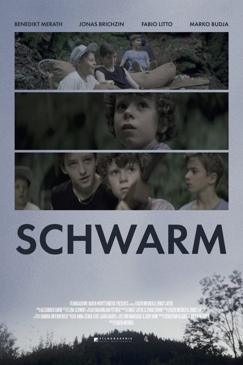 Swarm poster