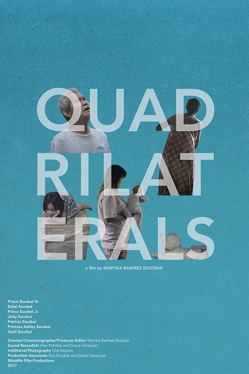 Quadrilaterals poster