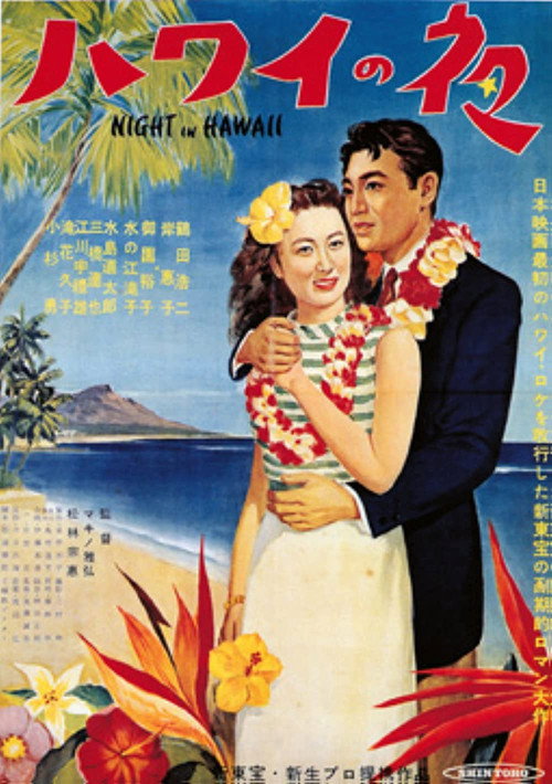 Night in Hawaii poster