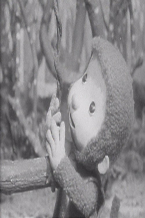 Little Monkey on a Swing poster