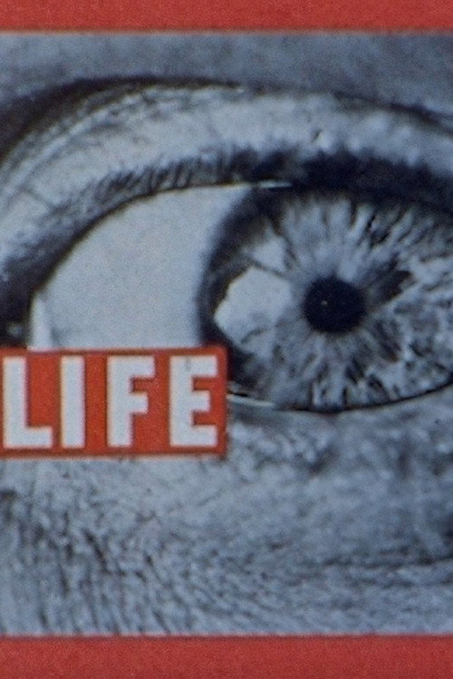 Life Life Life poster