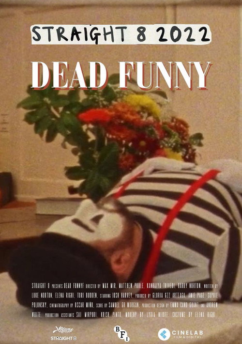 Dead Funny poster