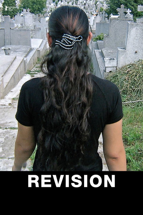 Revision poster