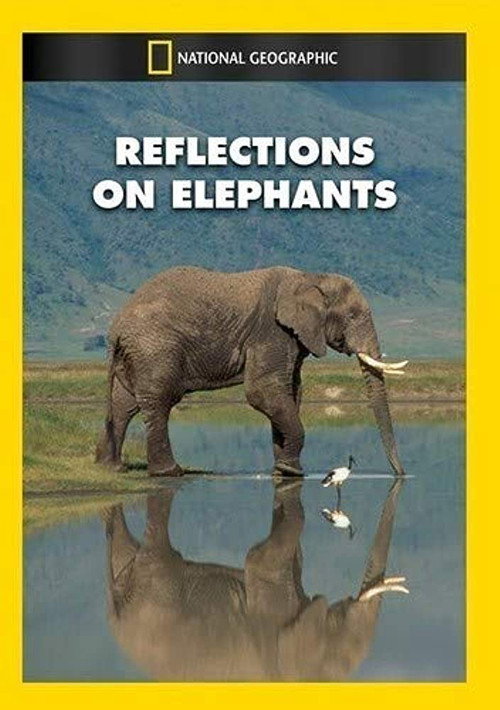 Reflections on Elephants poster