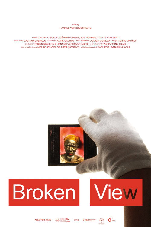 Broken View poster