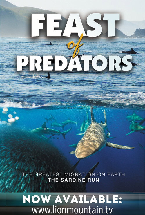 Feast of Predators poster