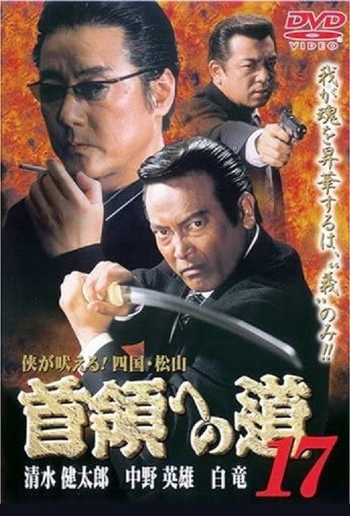 Road to the Don 17 poster