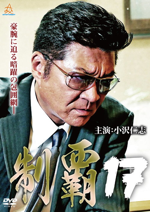 Conquest 17 poster