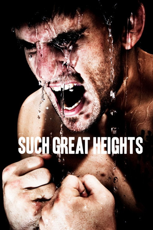 Such Great Heights poster