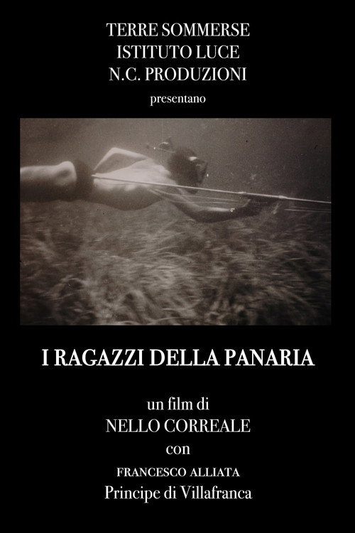 I ragazzi della Panaria poster