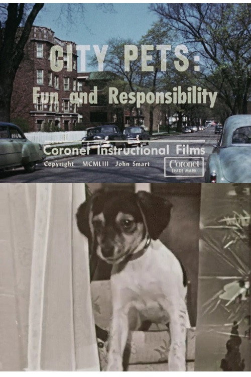 City Pets: Fun and Responsibility poster