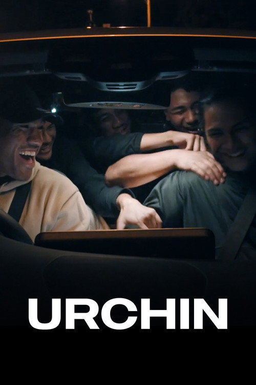 Urchin poster
