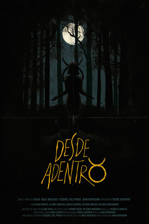 Desde Adentro poster