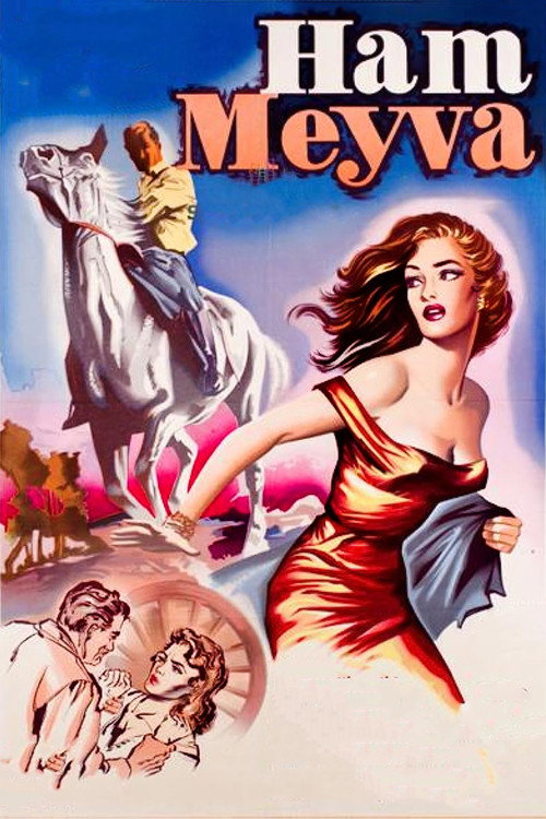 Ham Meyve poster