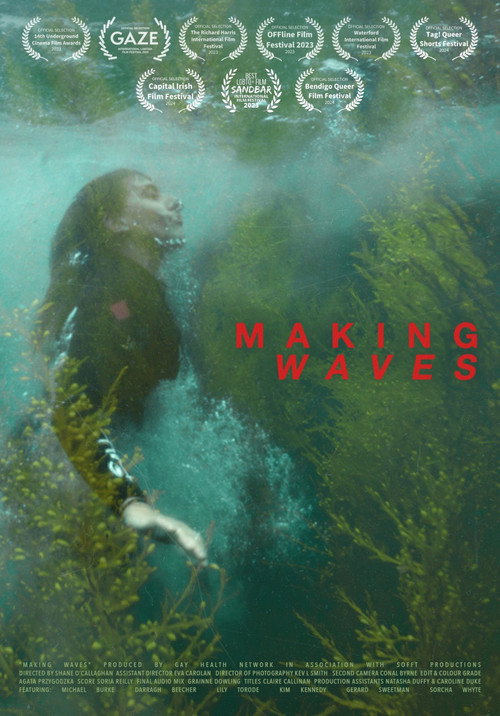 Making Waves poster