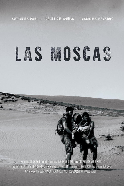 The Flies poster