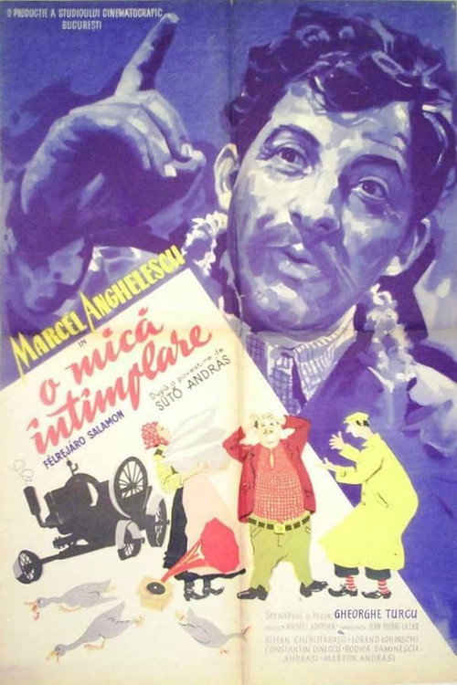 O mica întîmplare poster
