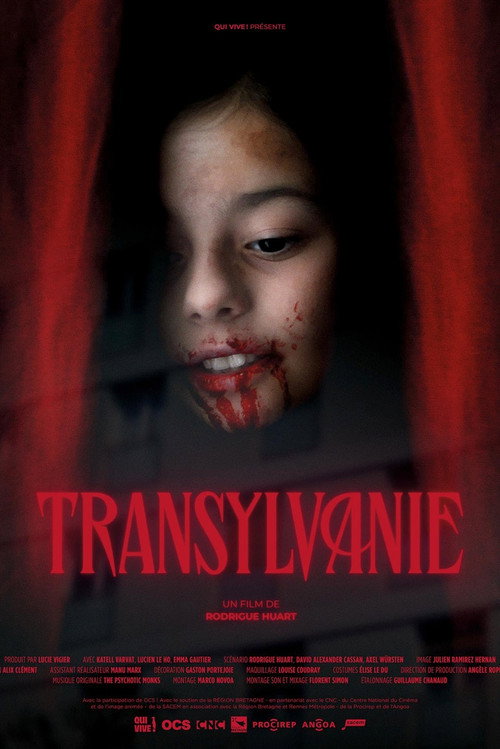 Transylvanie poster