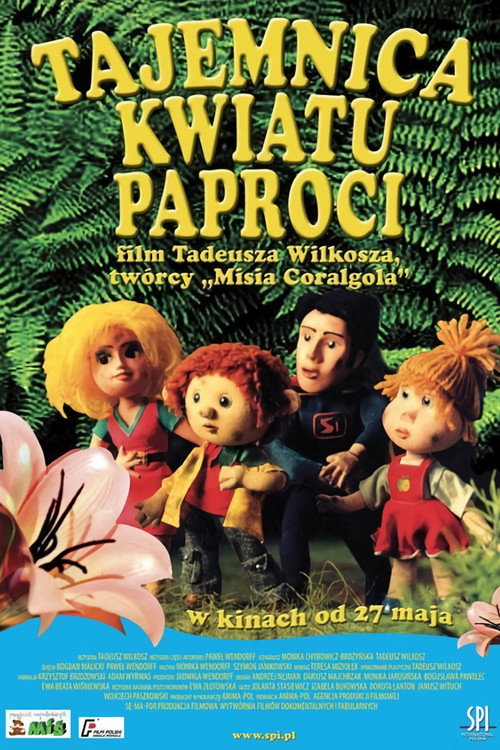 The Secret of Fern Flowers poster