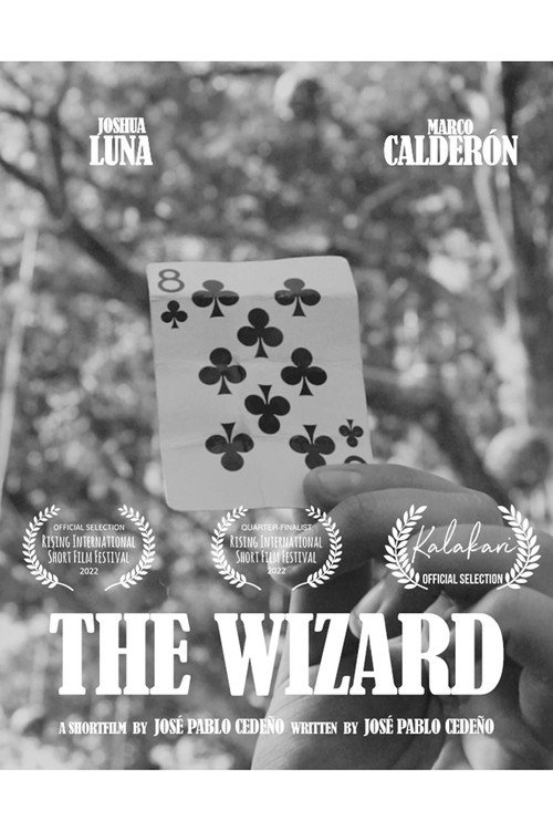 The Wizard poster