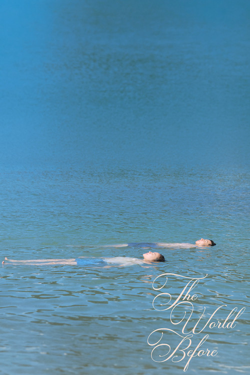 The World Before poster