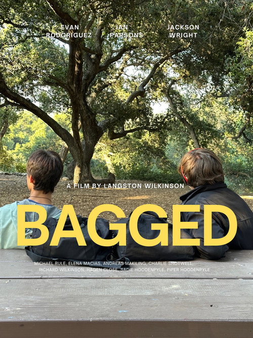 Bagged poster